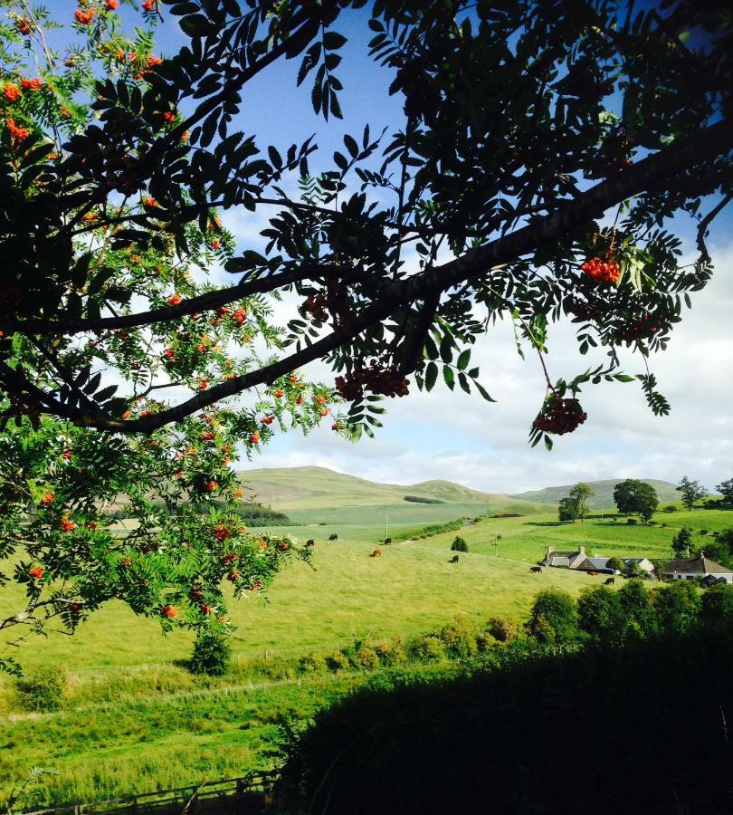 Valley View Cottage Morebattle Εξωτερικό φωτογραφία